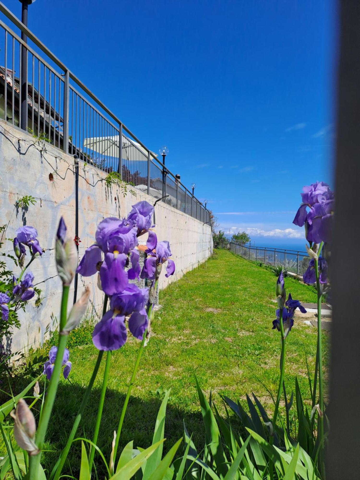 Bed and Breakfast Antemare Нолі Екстер'єр фото
